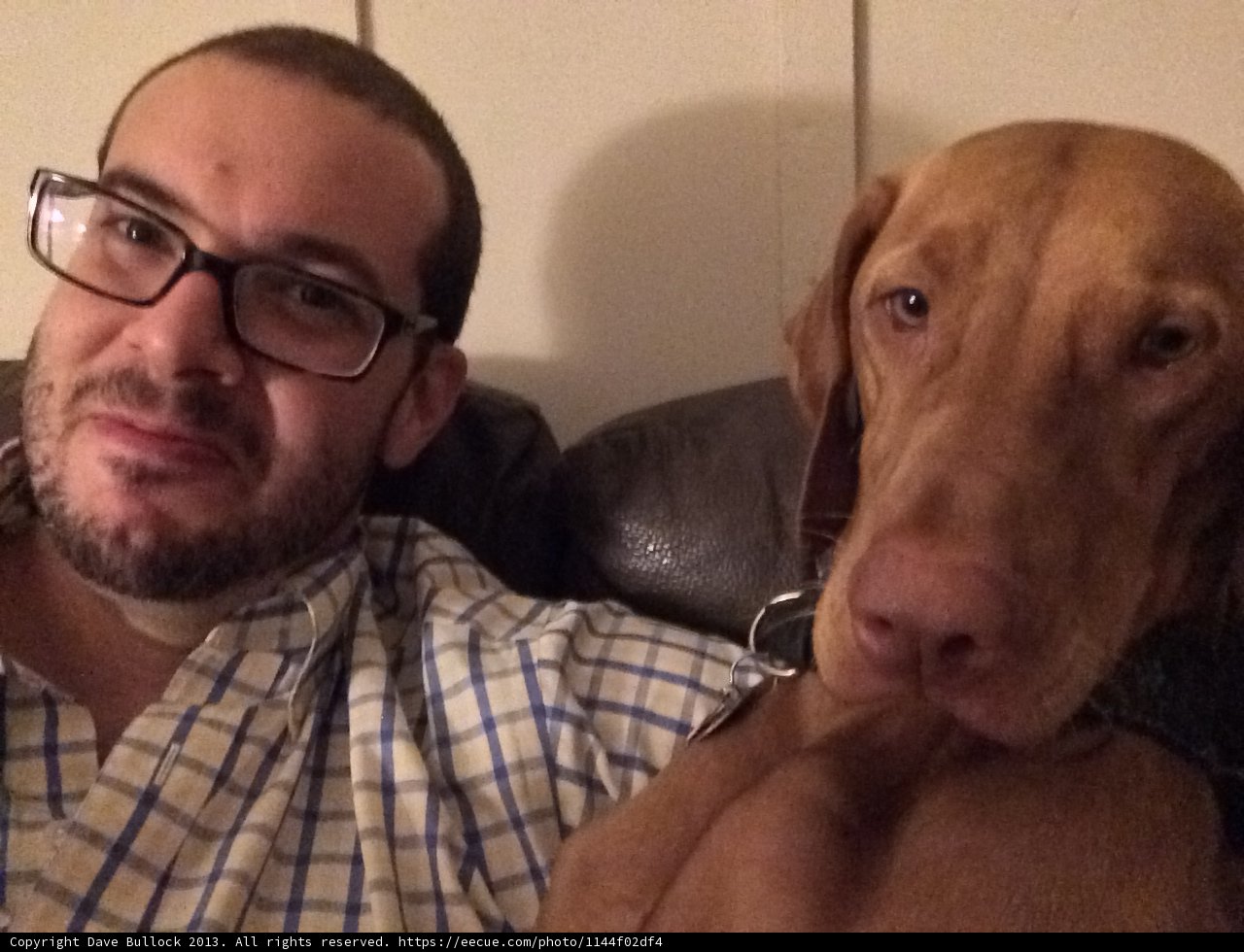 Man and his Furry Best Friend