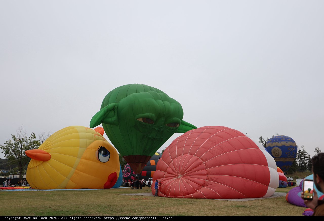 Giant Character Balloons Inflate at Sonoma Hot Air Festival