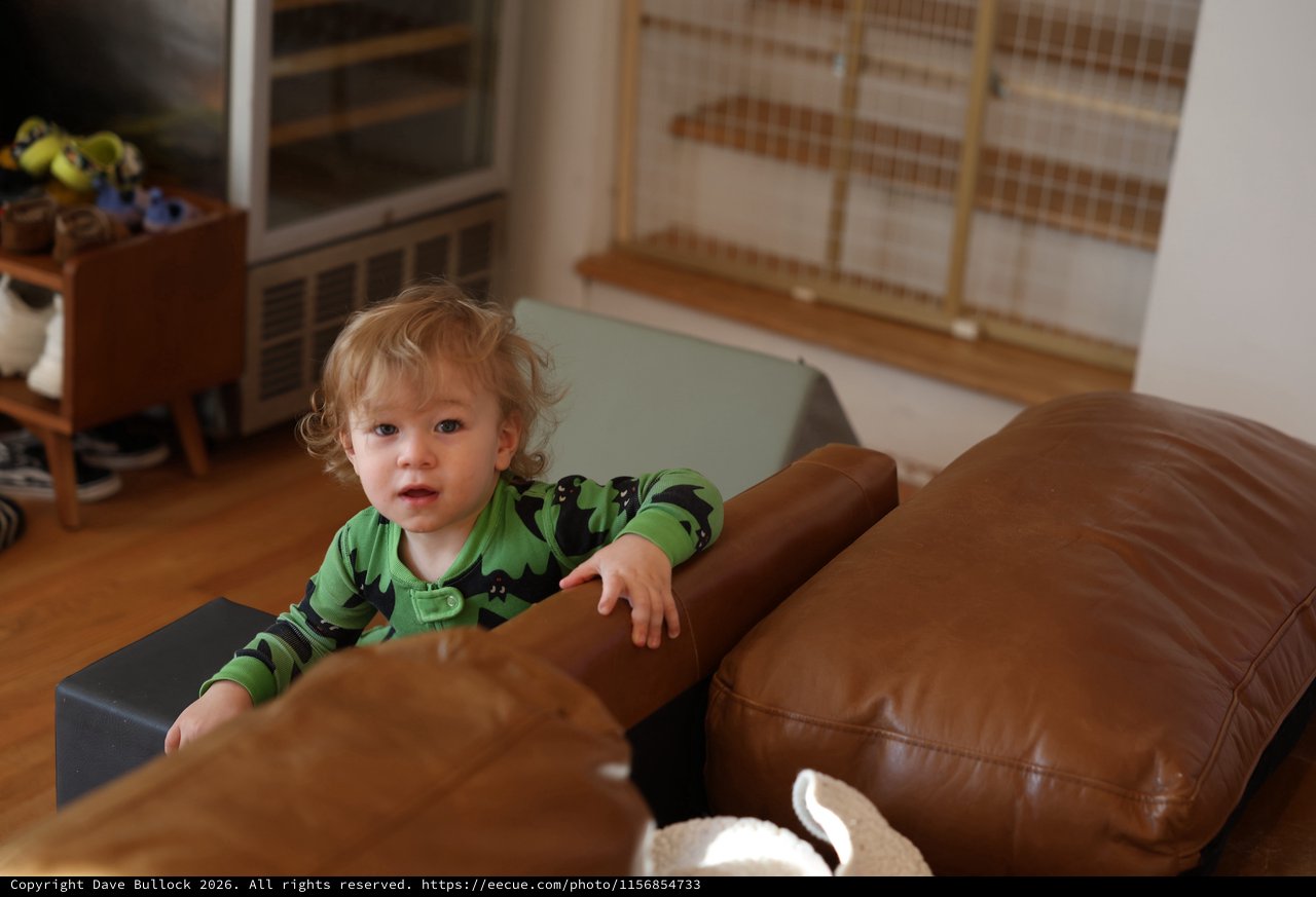 Toddler in Green Dinosaur Pajamas Playing at Home