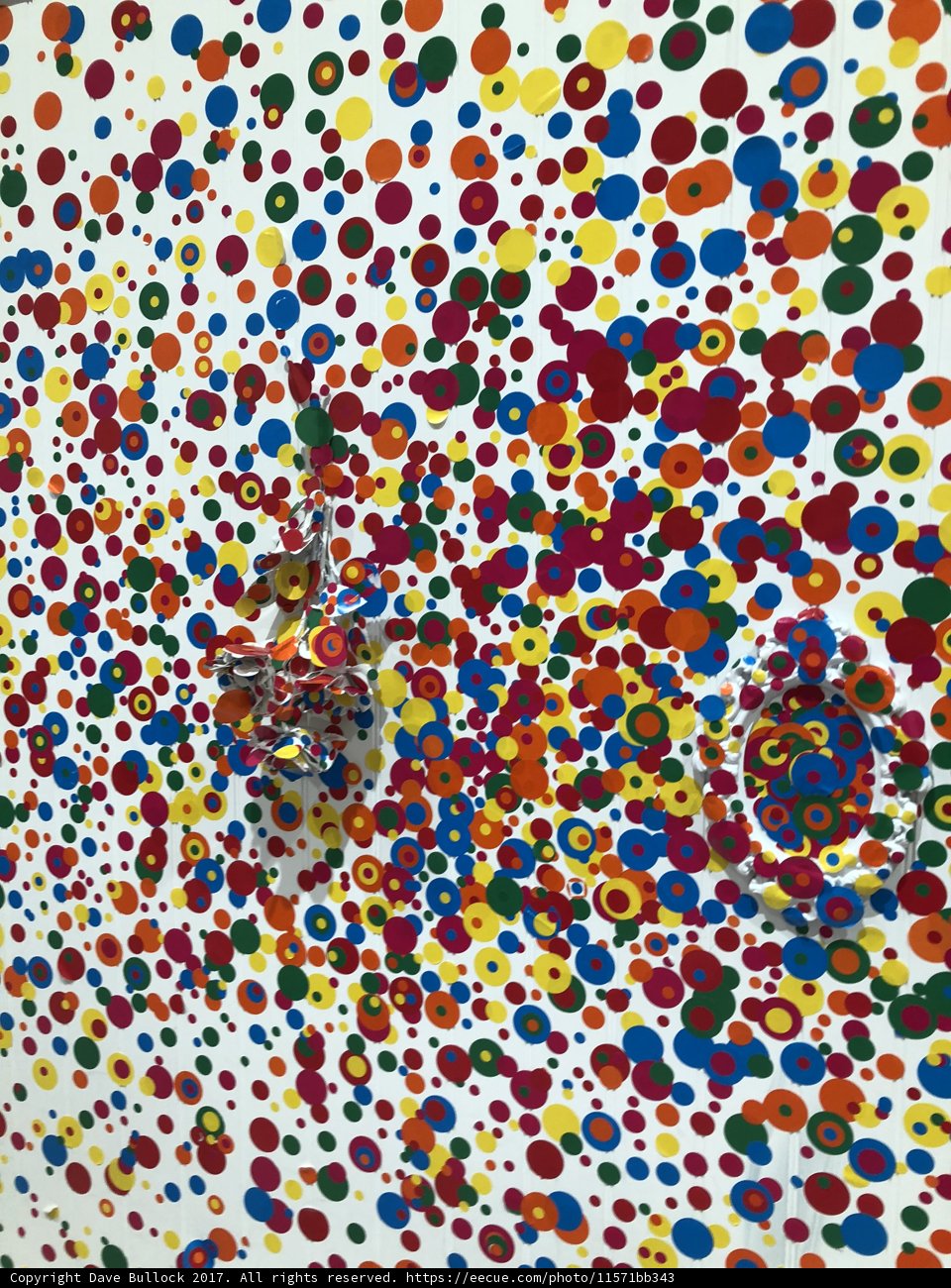 Polka Dots in Color