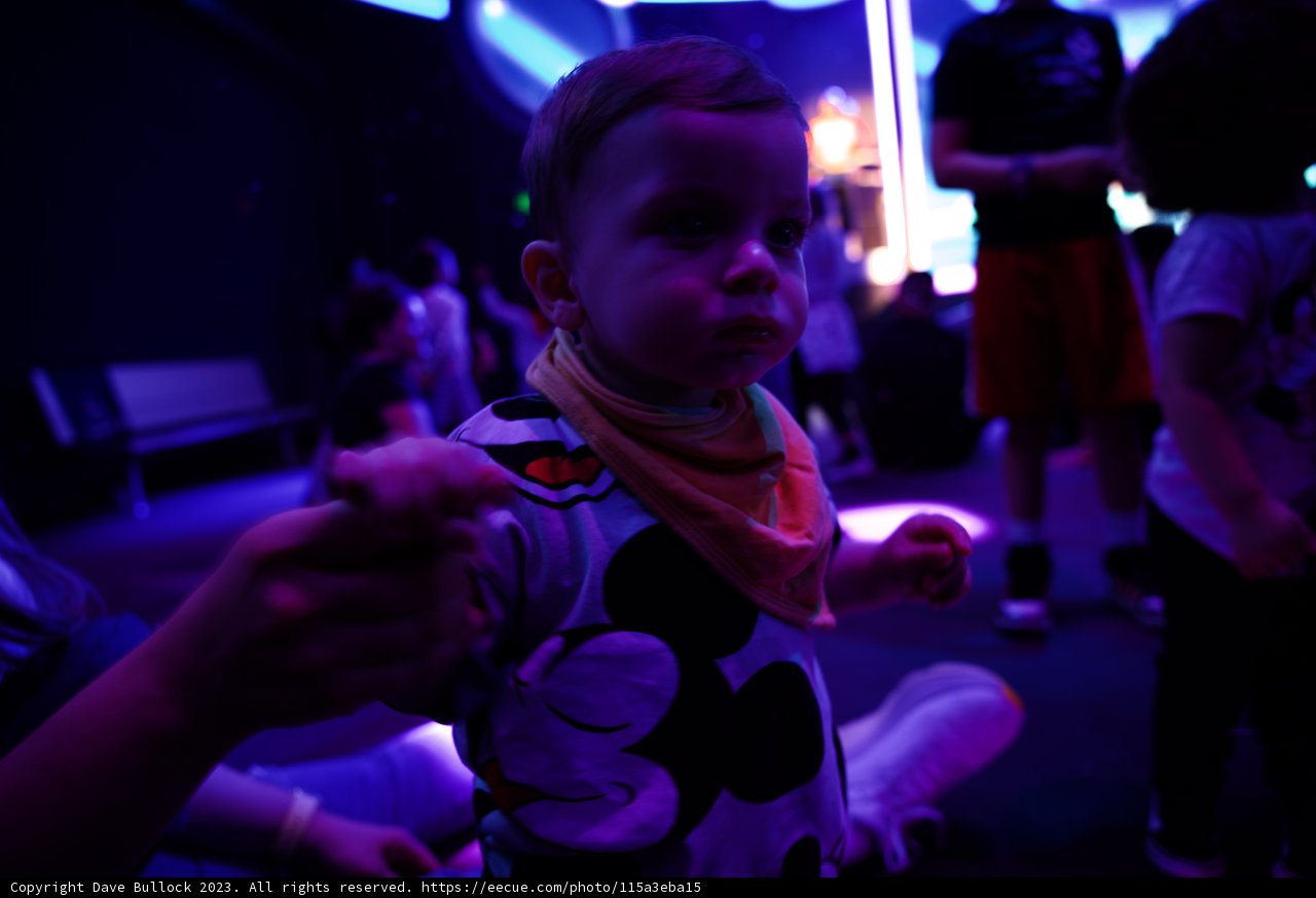 Magical Moments at Disneyland