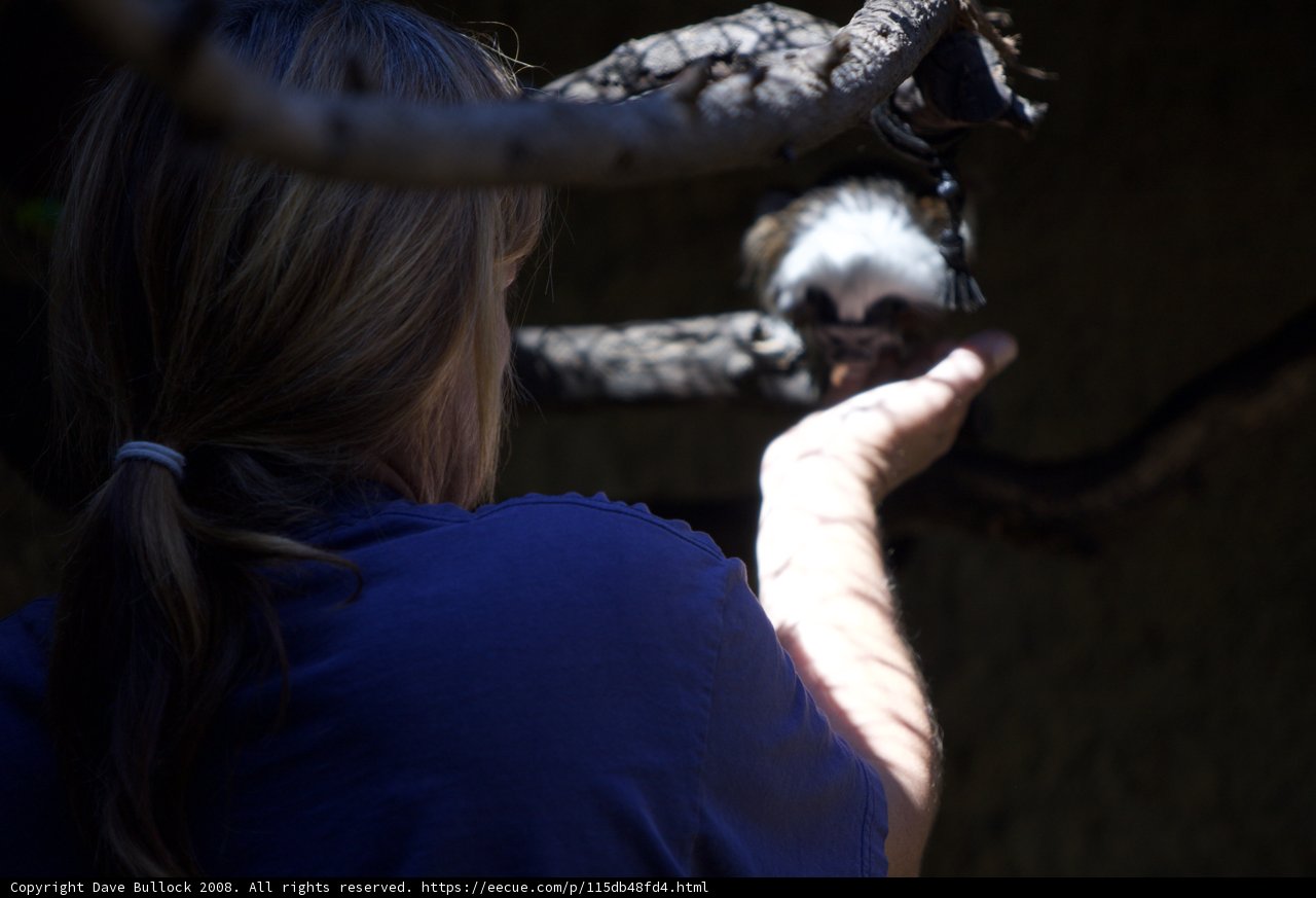 Woman and her Furry Friend