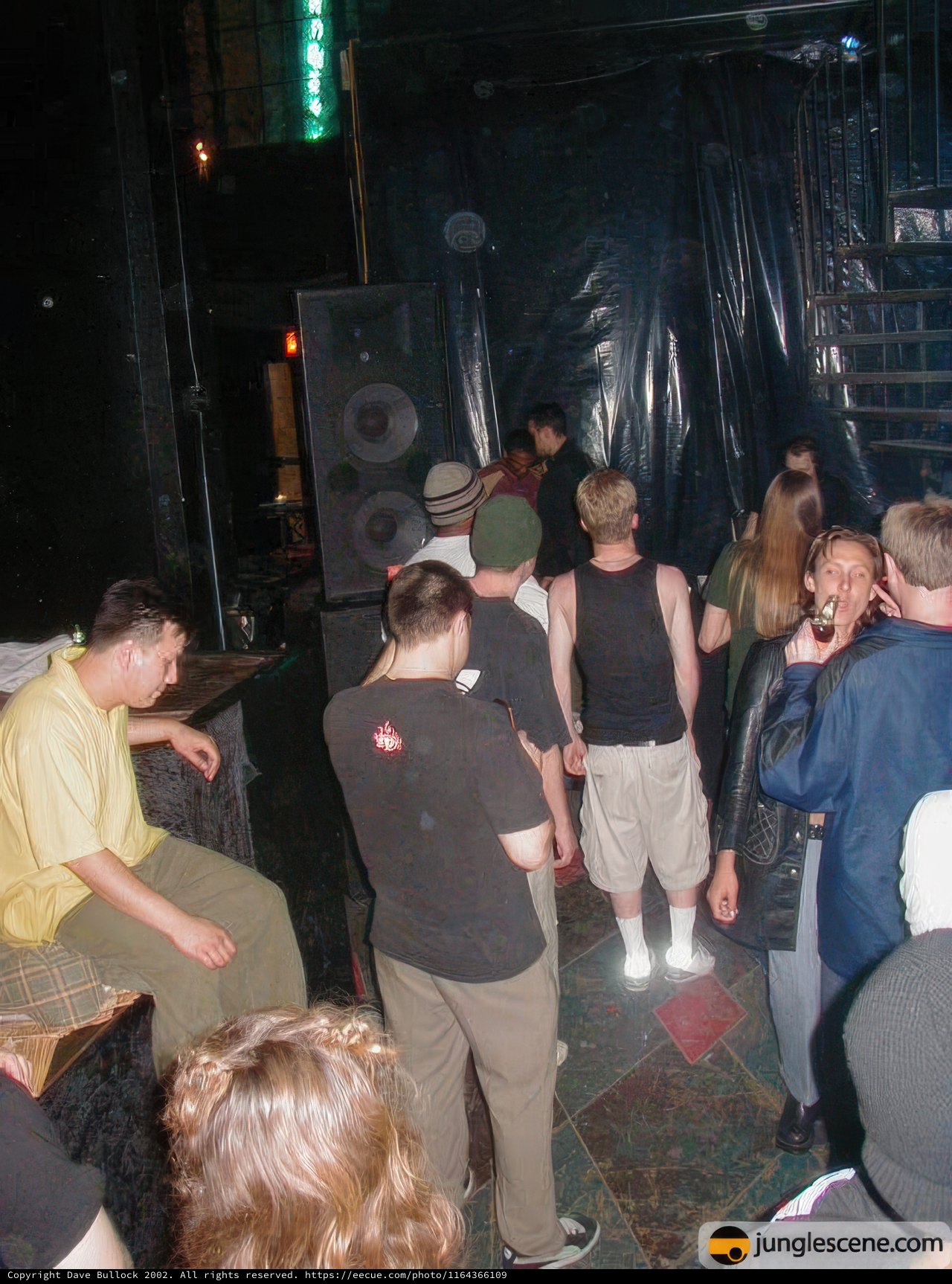Nightclub Concert Crowd