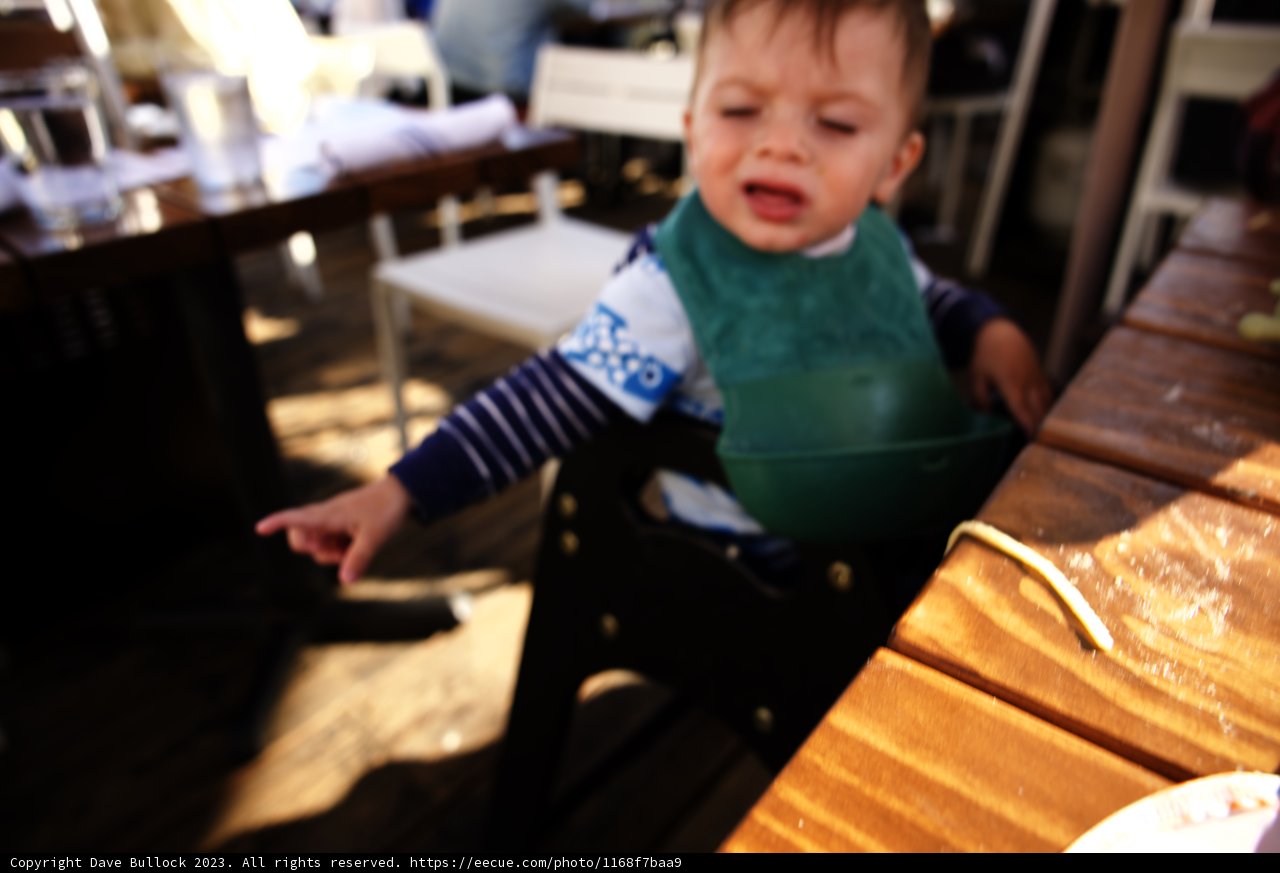 Little Explorer's Meal Time