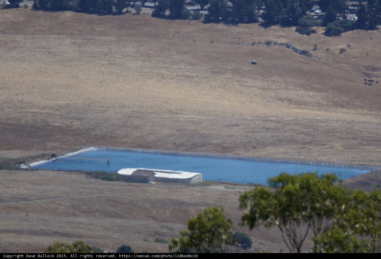 Tranquil Waters of Hearst Castle