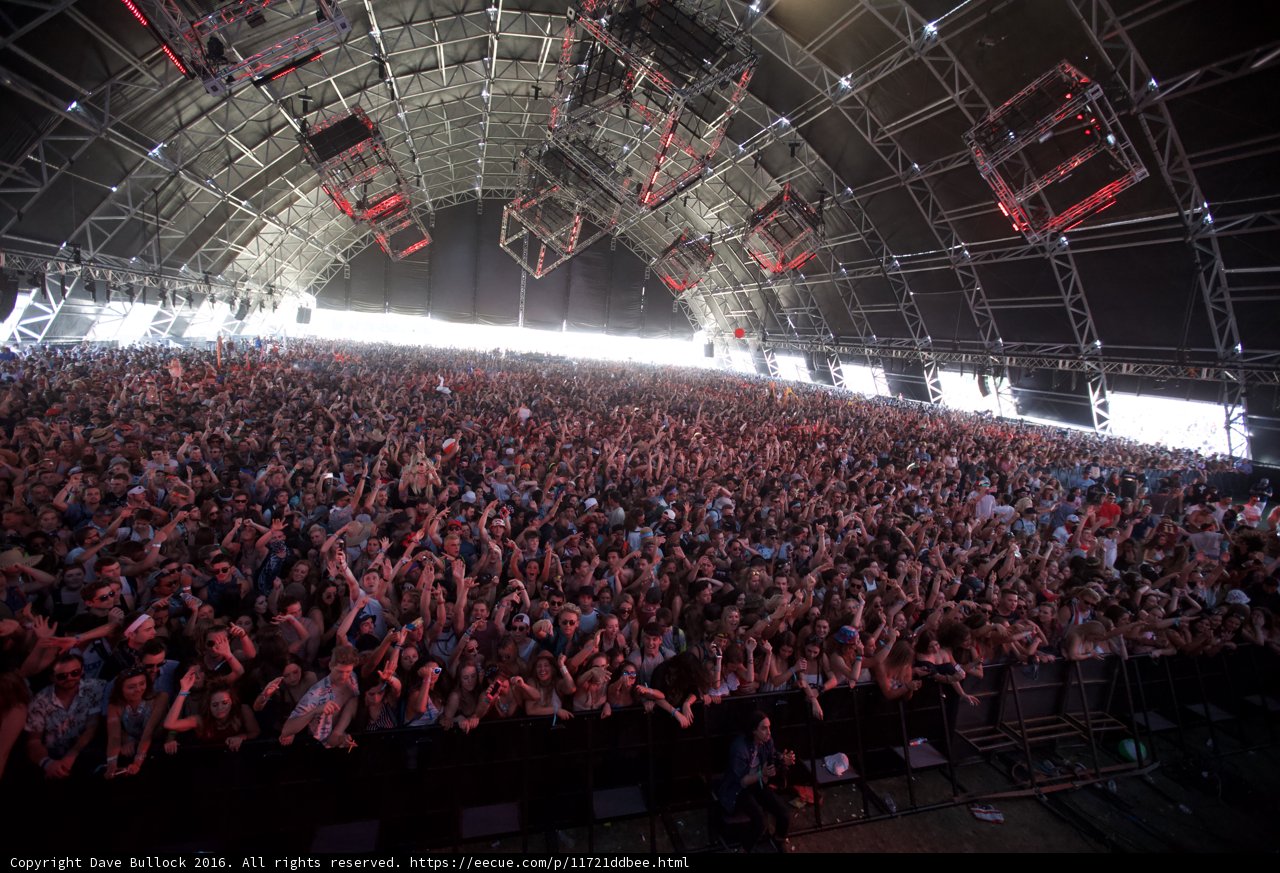 Rocking with the Crowd