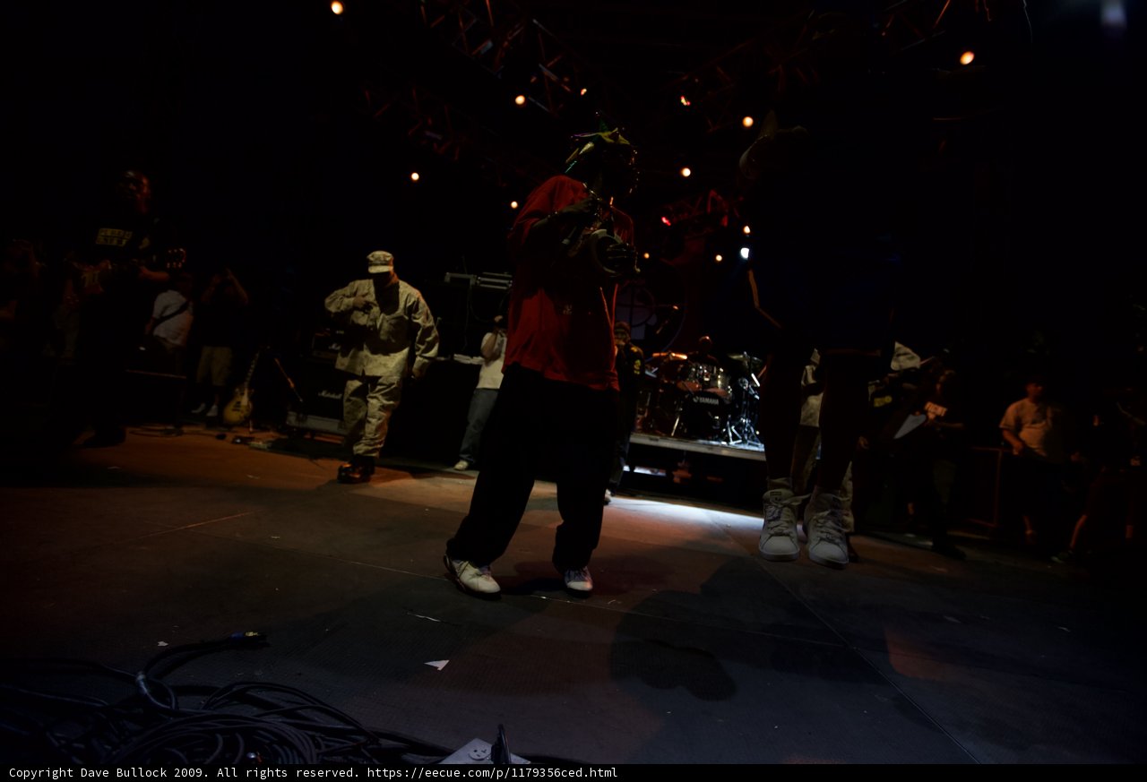 Rocking the Crowd at Coachella 2009