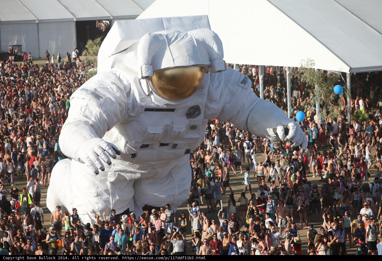 Festival Frenzy