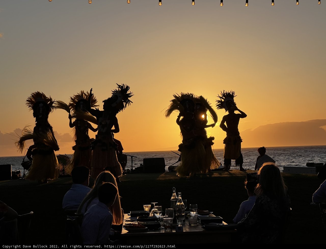 Dancing Shadows on a Sunset Beach