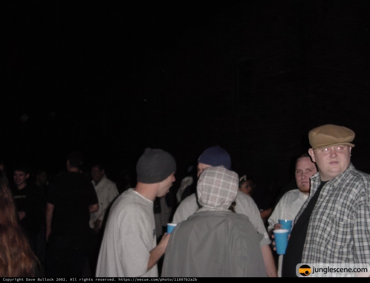 Nighttime Gathering