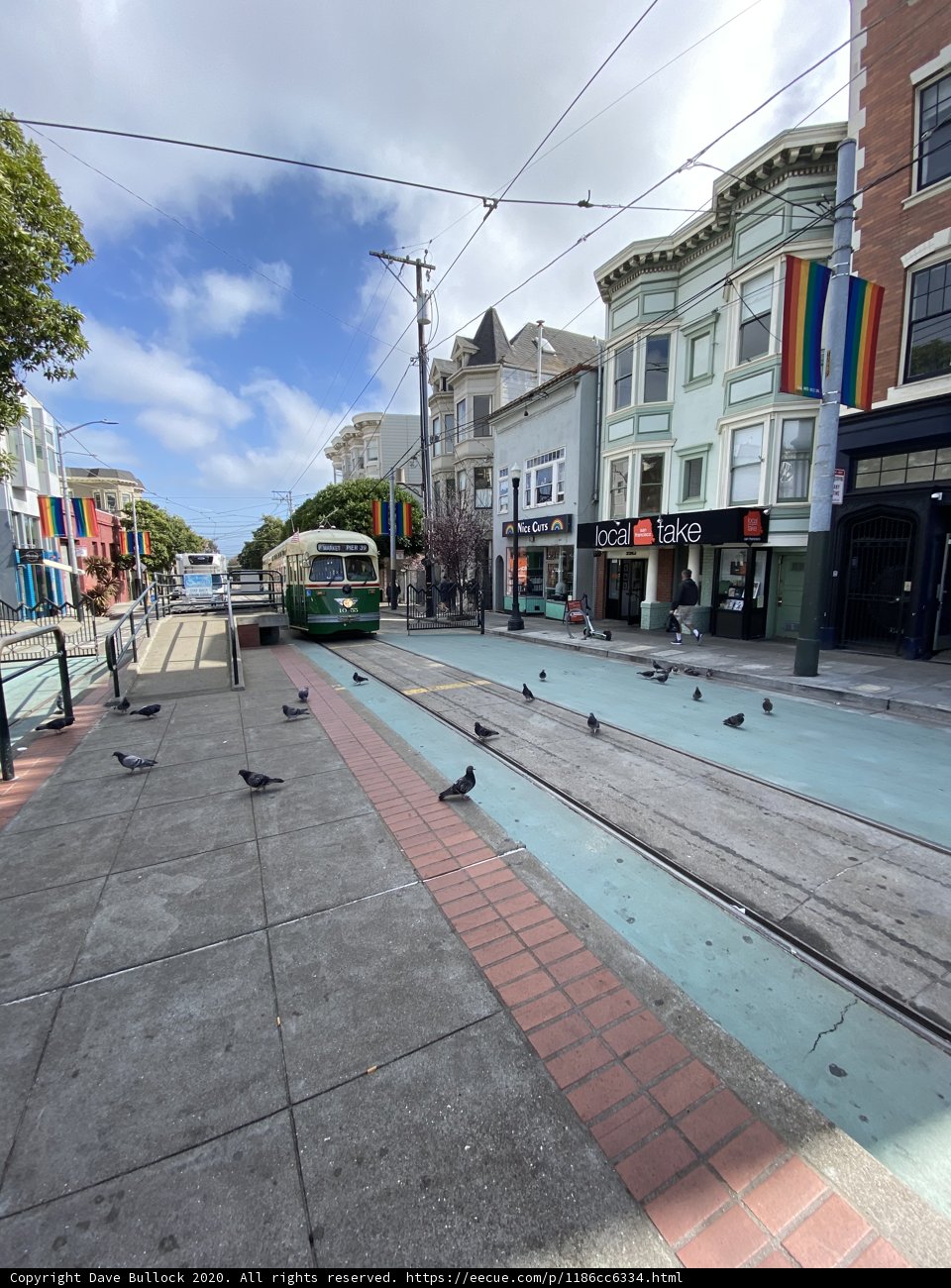 Tram and Pigeons on a City Street