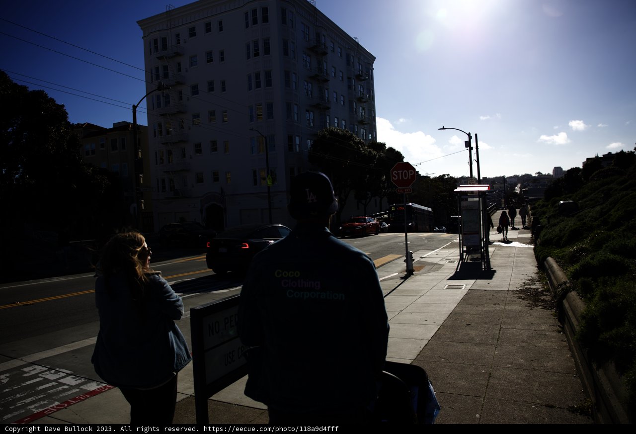 A Stroll Through Alamo Square