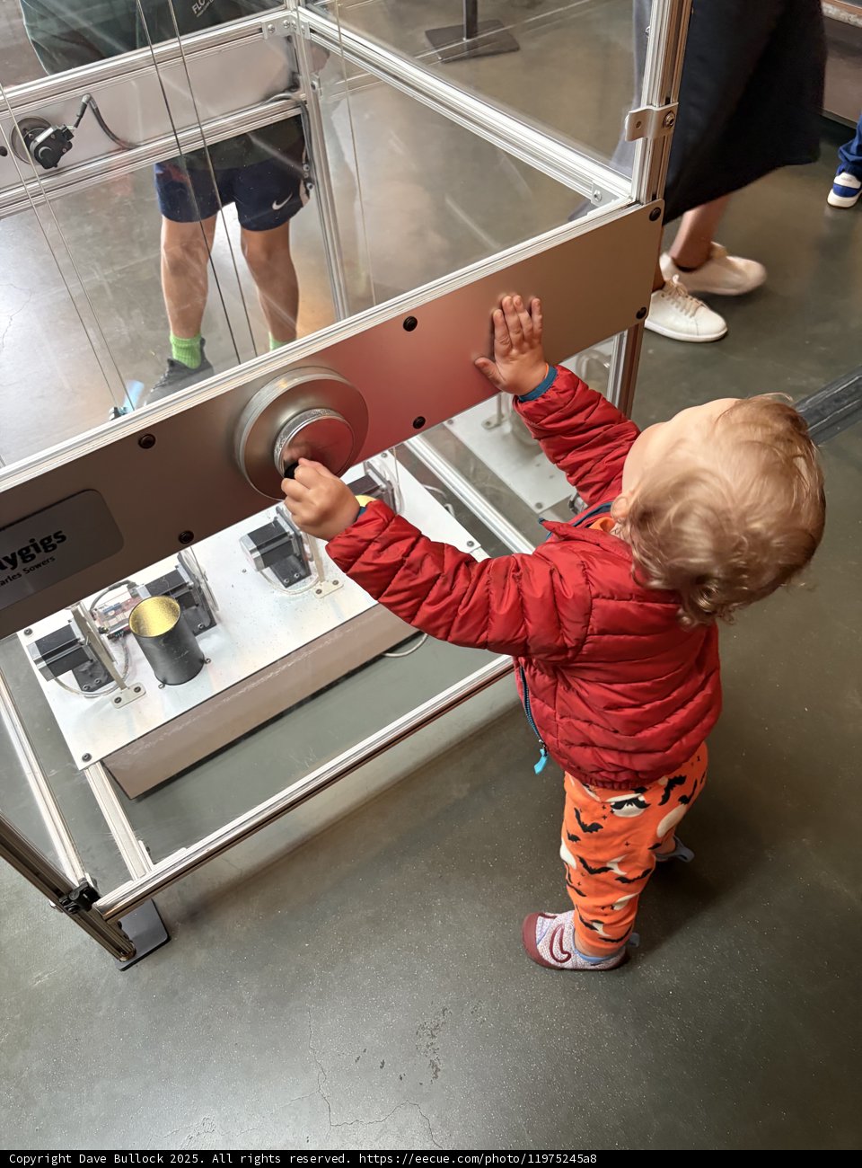 Little Explorer's Curiosity