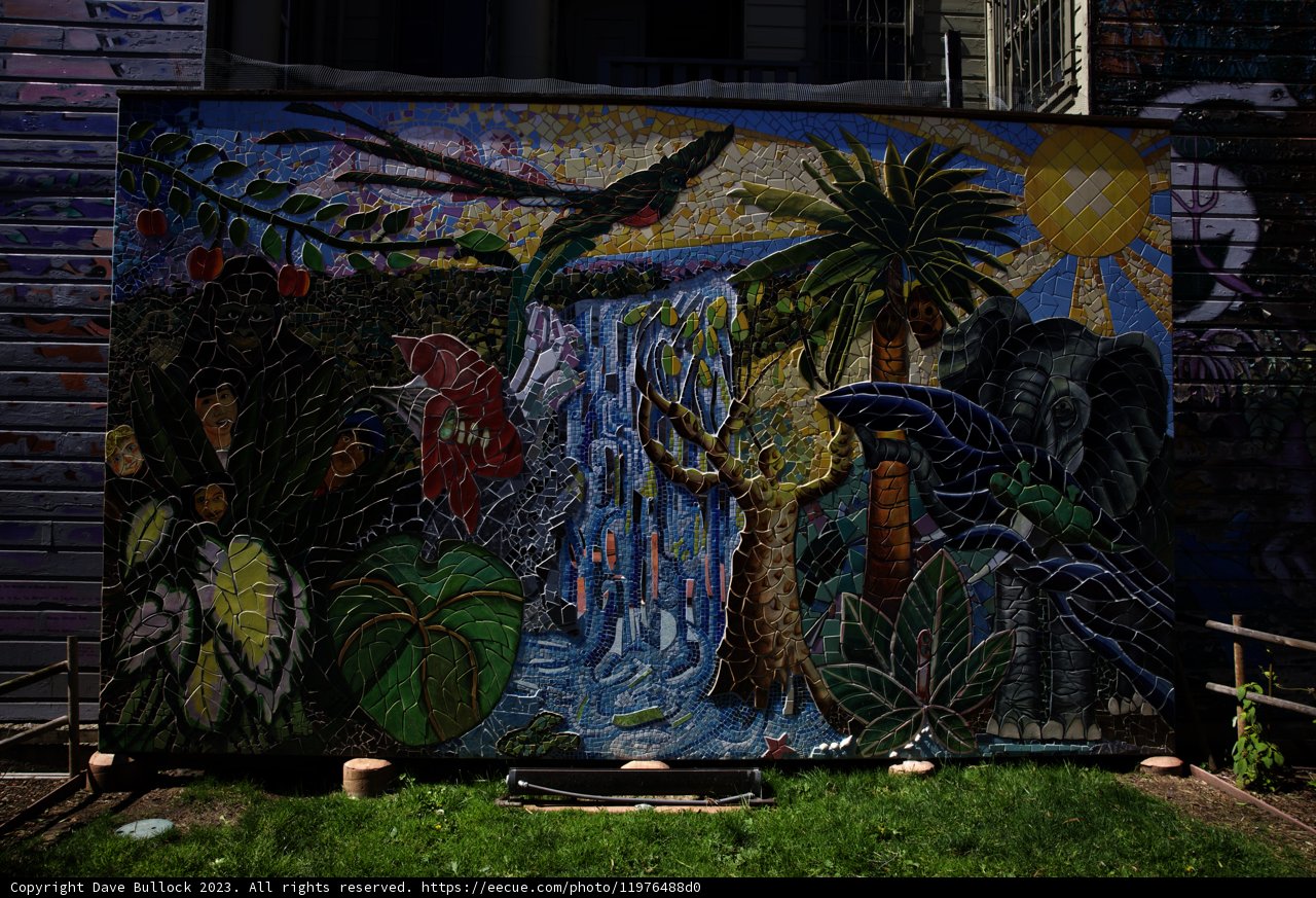 Vibrant Urban Jungle