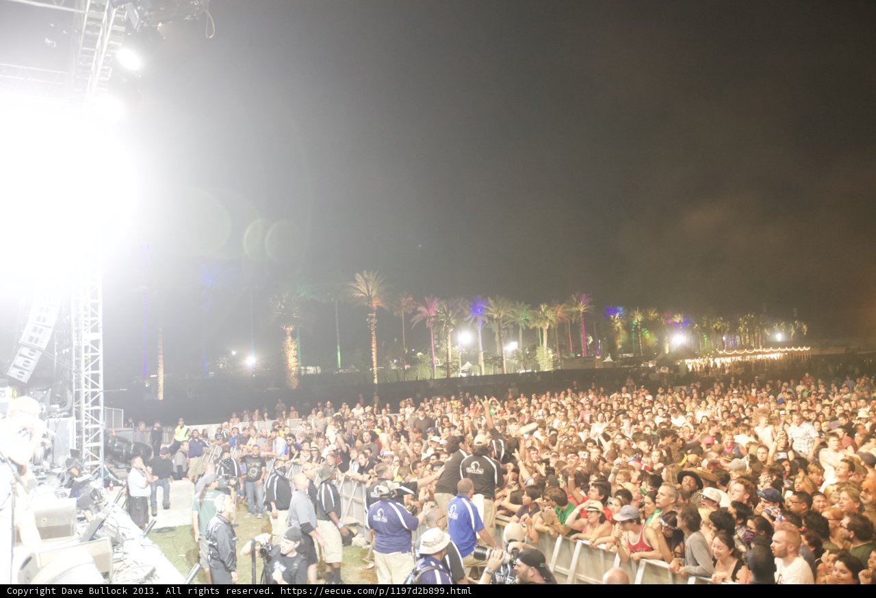 Concert Crowd under the Night Sky