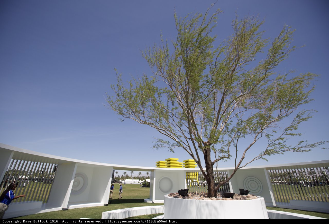 Tree in a circular structure