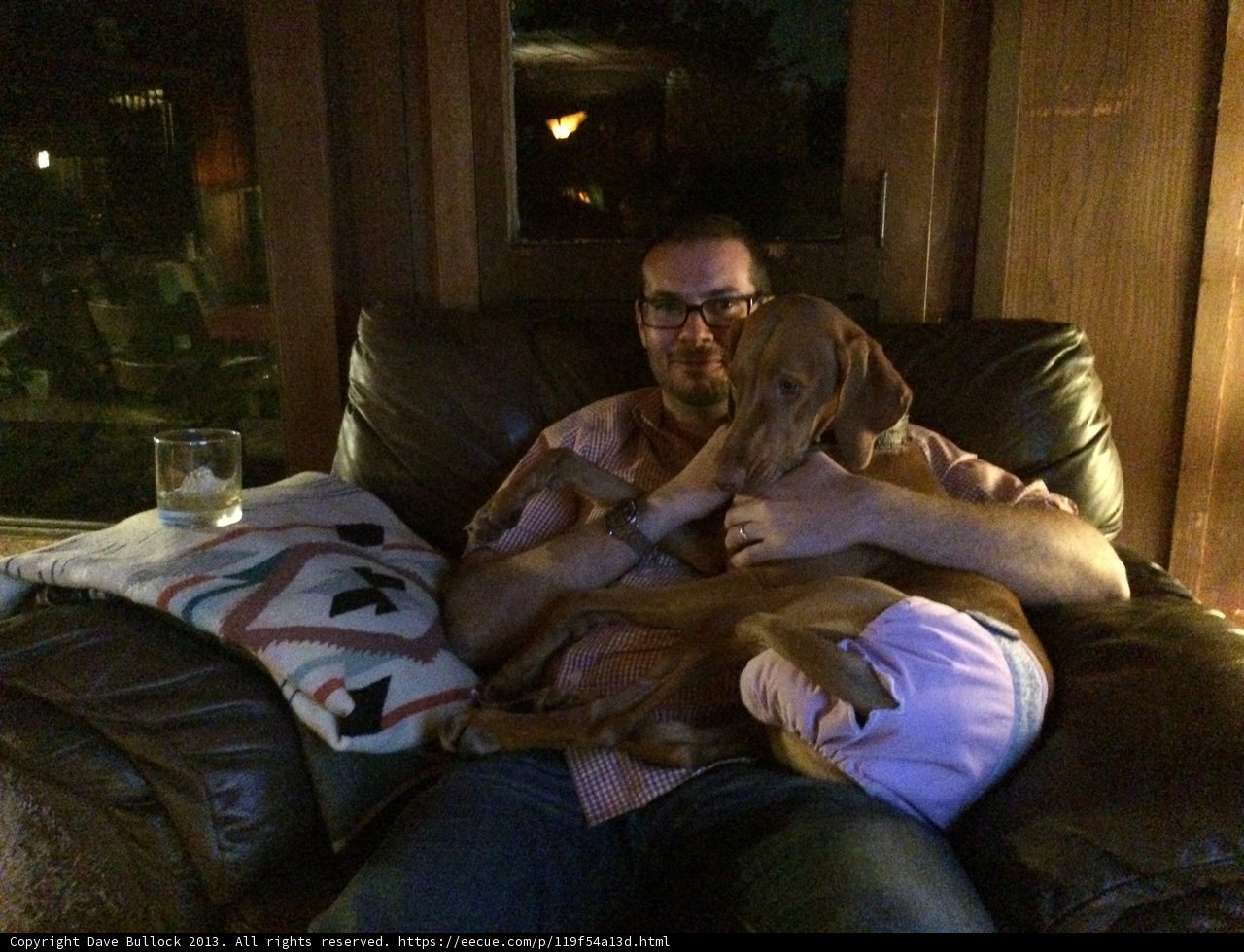 Man's Best Friend