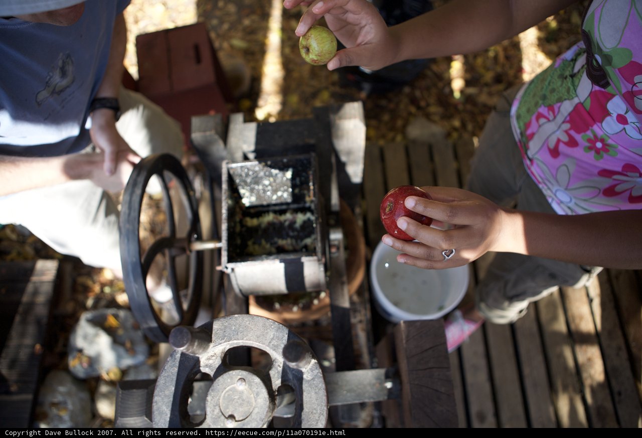 Examining the Apple Sorting Machine