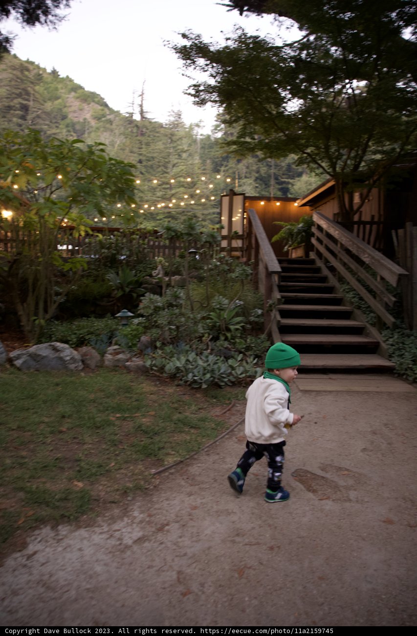 Wesley's Big Adventure In Big Sur