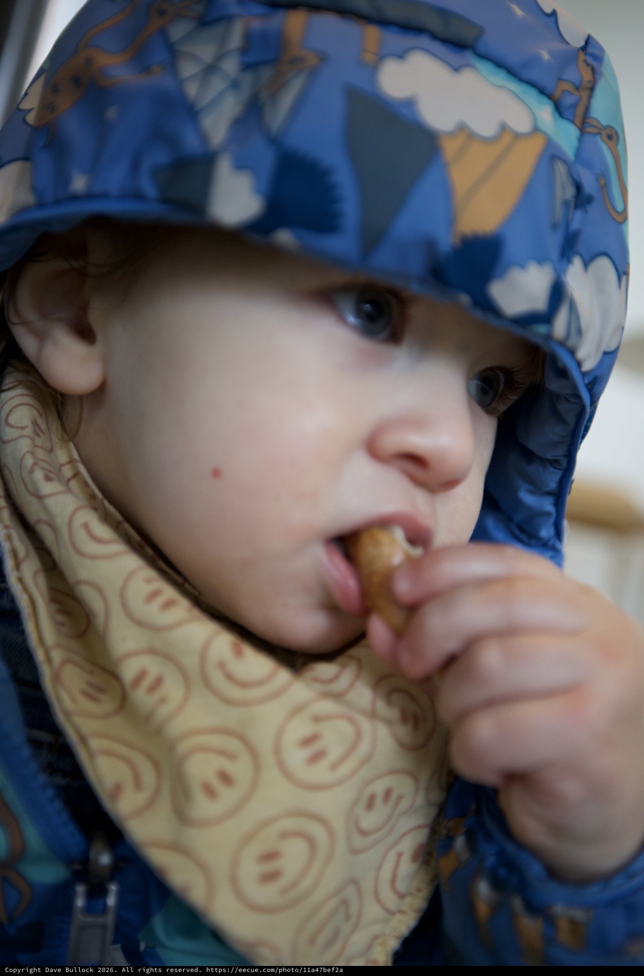 Young Child in Blue Patterned Hat Enjoying a Snack