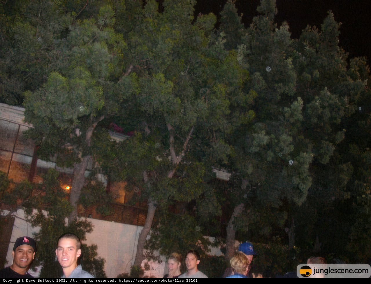 Nighttime Gathering Around Woodland Tree