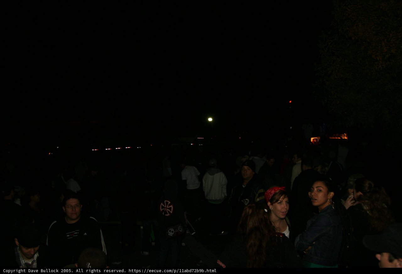 Night Time Gathering