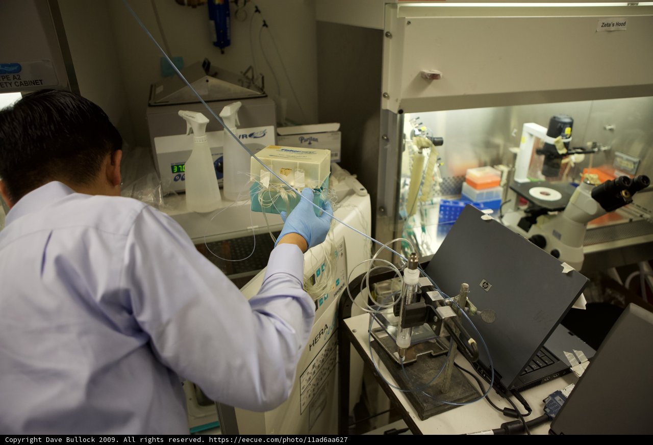 Laboratory Work