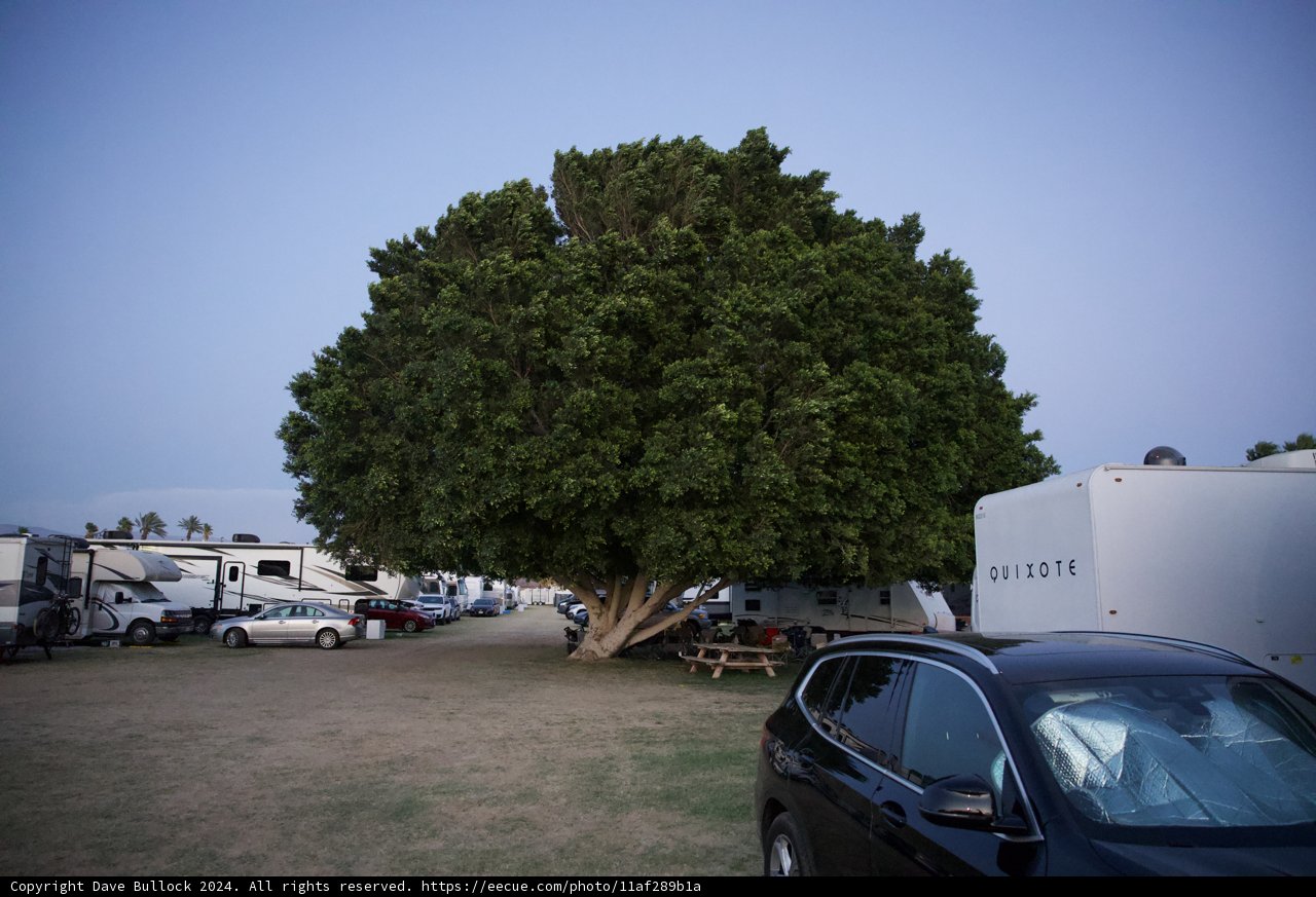 Twilight Gathering at Coachella 2024