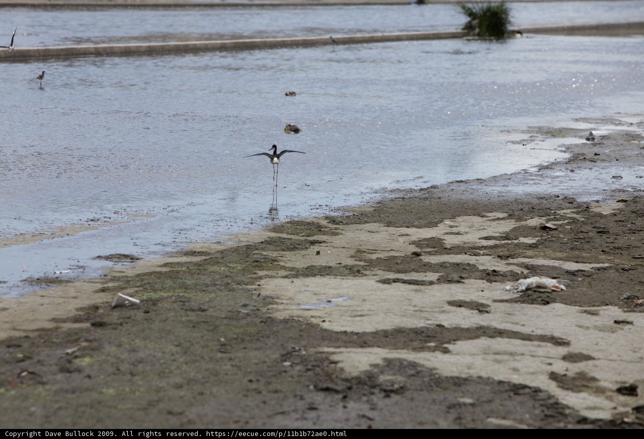 Flying Above the La River's Flooded Landscape