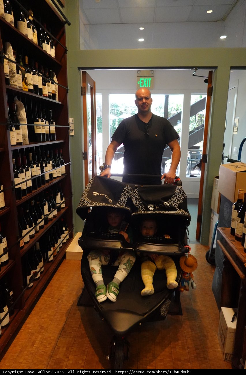 A Stroll Through the Cellar