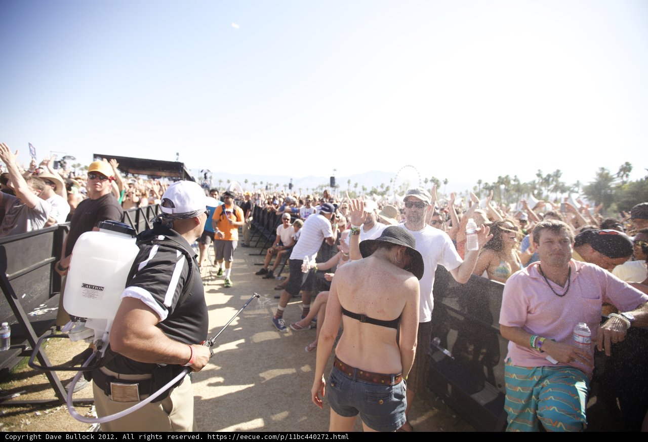 Crowding the Beats: Music Festival Madness