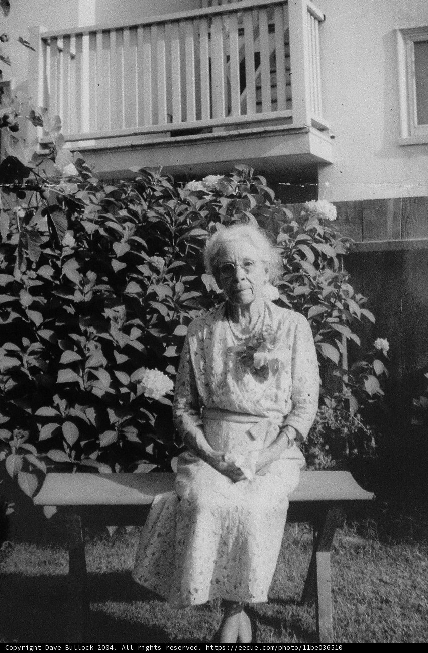 A Serene Moment on the Garden Bench