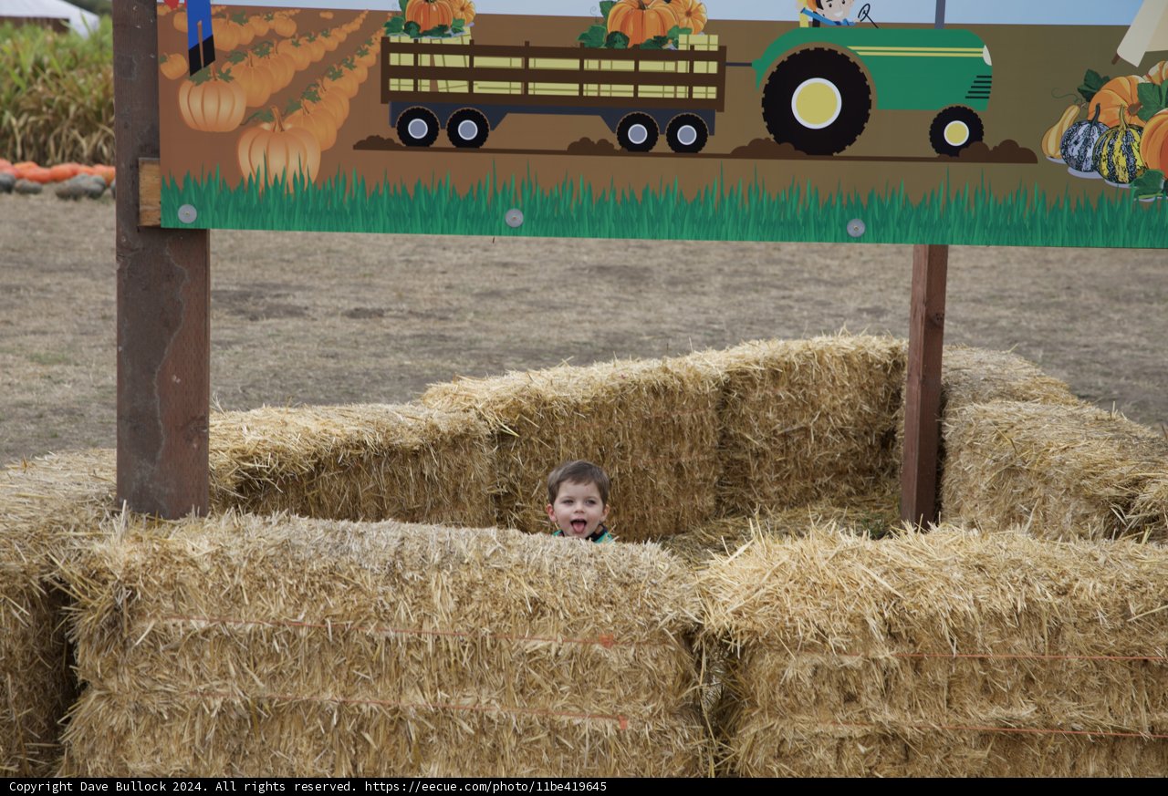 Harvest Playtime