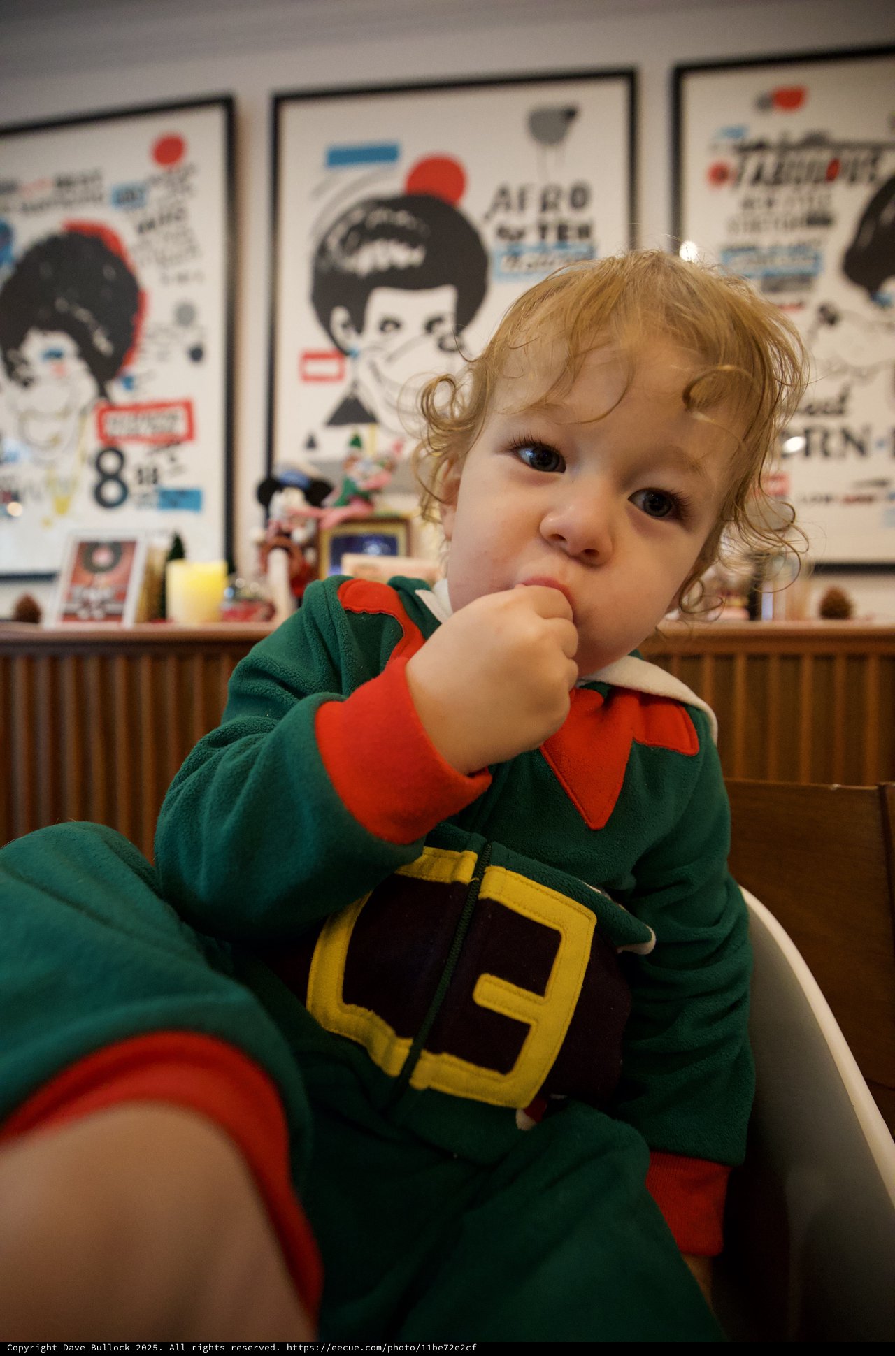Adorable Toddler in Green Elf Costume Portrait