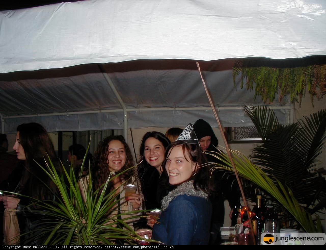 New Year's Eve Bash