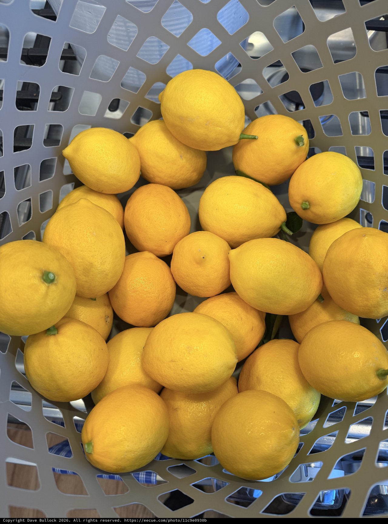 Fresh Lemons in White Plastic Basket