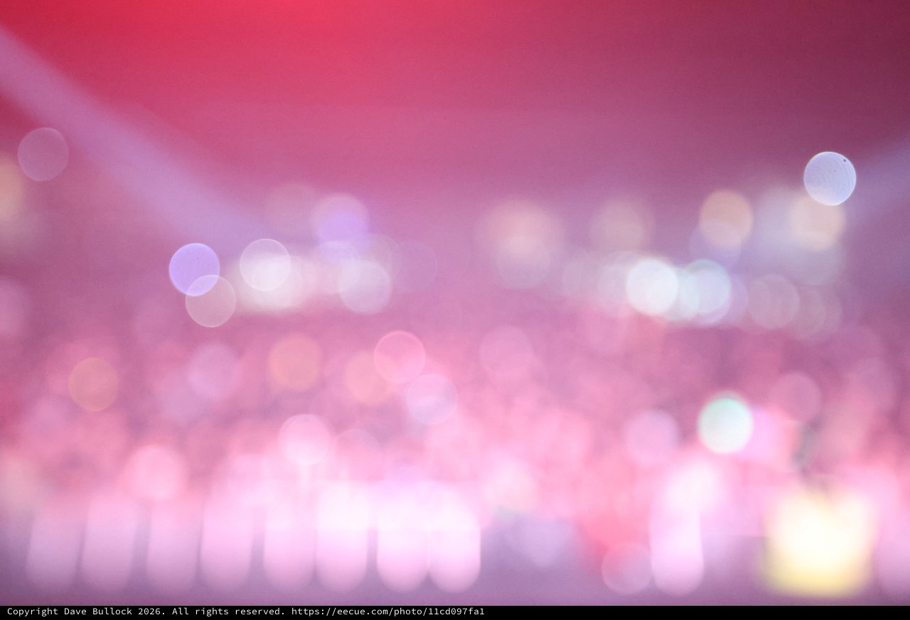 Electric Pink Bokeh Lights at Wobbleland Festival