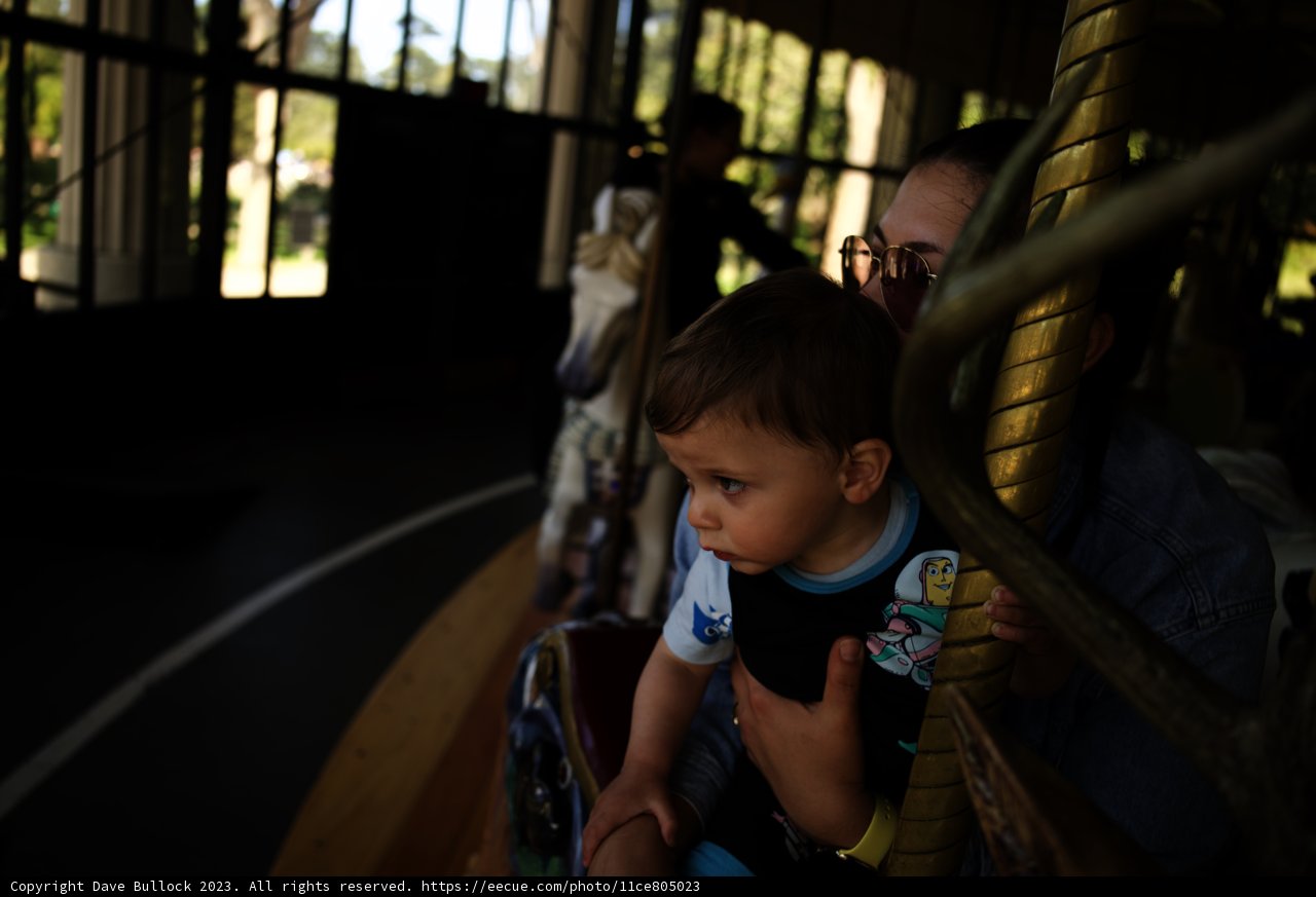 Cherished Moments at the Carousel