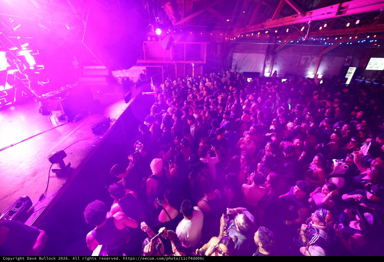 Massive Crowd Surges at Wobbleland Festival 2026