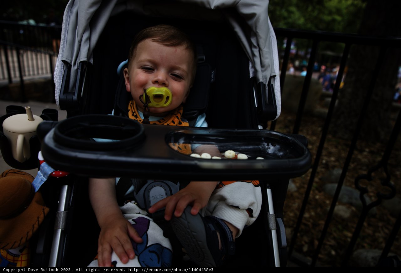 Baby's Magical Day at Disneyland