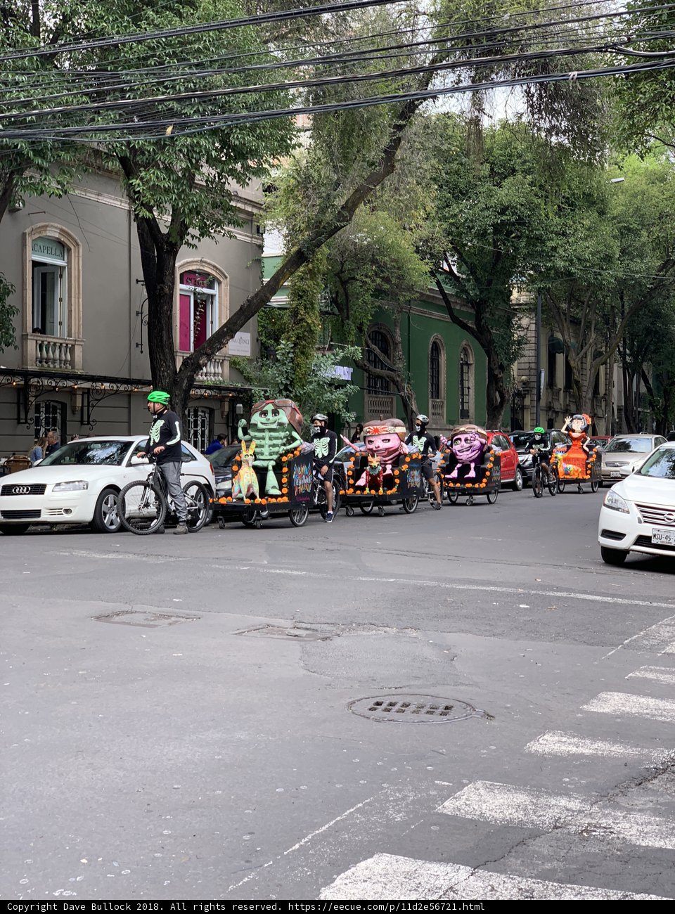 Riding Wild in the Urban Jungle