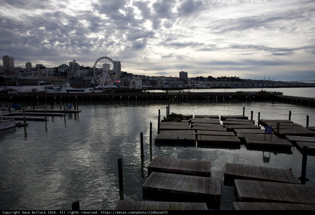Harboring Tranquility: The Marina View from the Pier, 2024