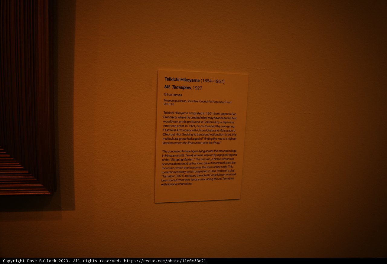 Framed Artistry: A Day at the de Young Museum