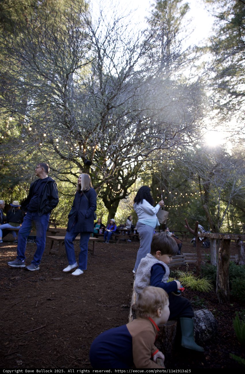 Autumn Walk at Thistlewyck - Filoli