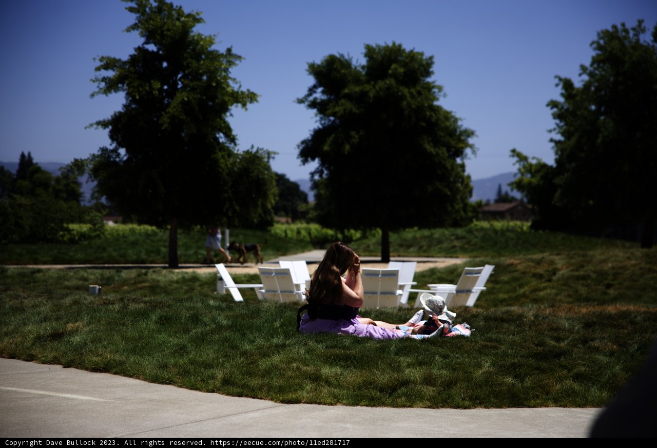 Serenity in the Park