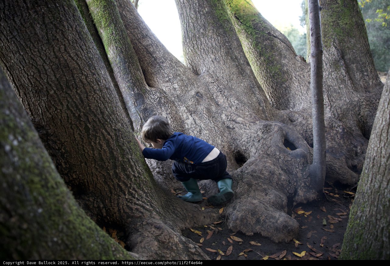 Nature's Playground