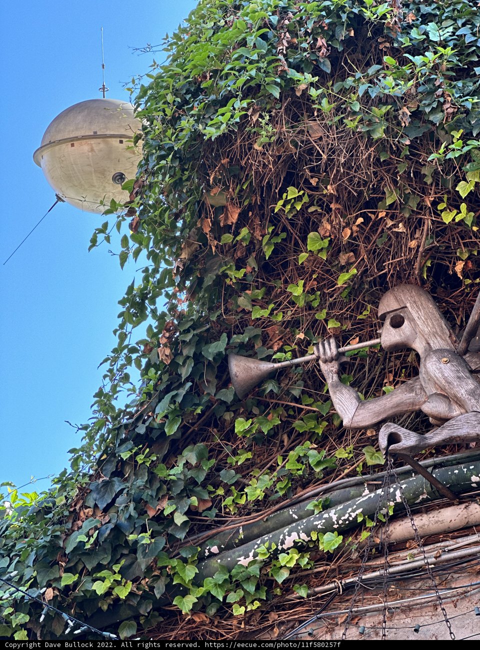 The Ivy-Covered Avian Statue