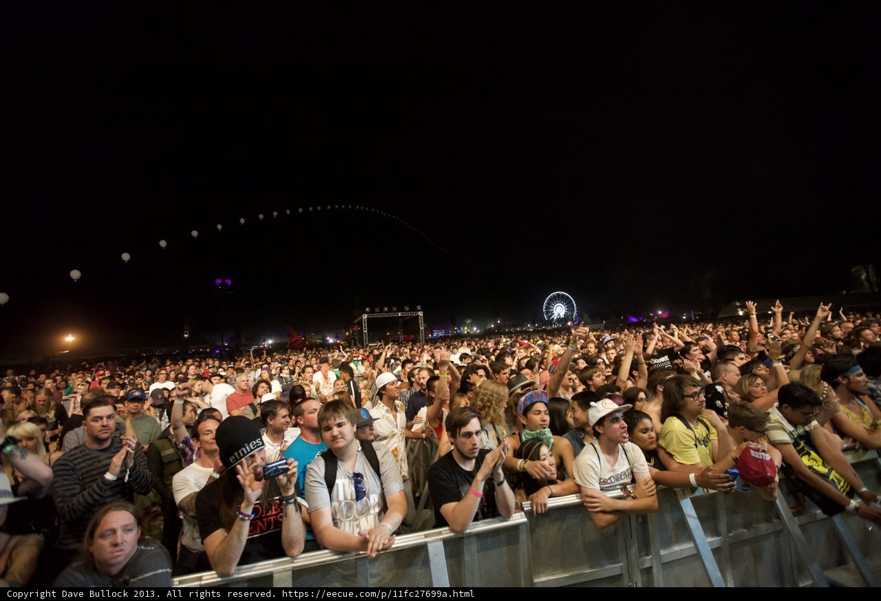 Nighttime Concert Crowd