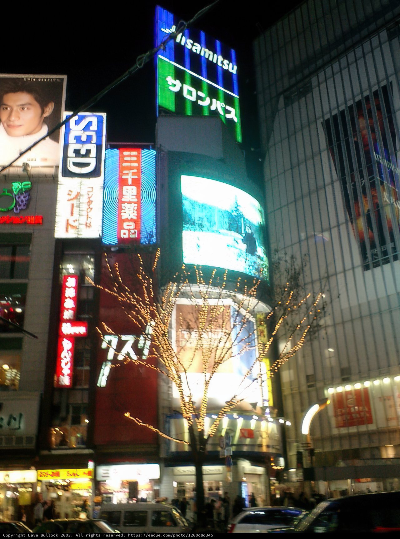 A Metropolis of Lights: Shinjuku's Busy Streets