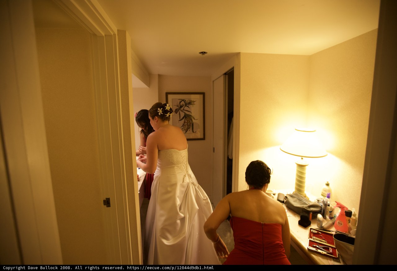Bridal Bathroom Break